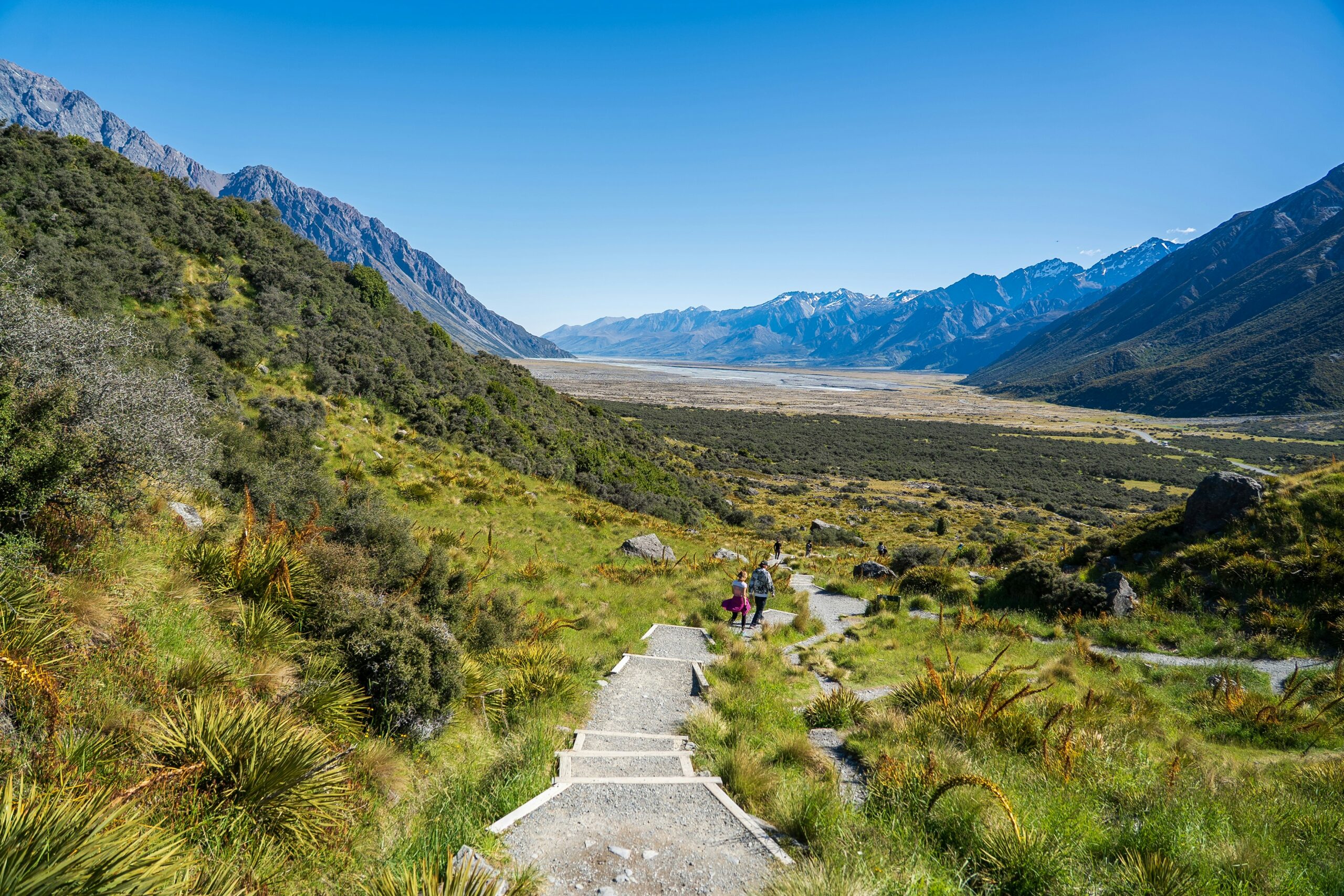 jinhui chen 5jgagcwhssc unsplash