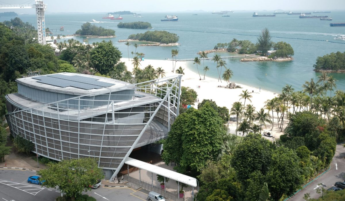 angelyn sanjorjo 9yx bkqmg5o unsplash