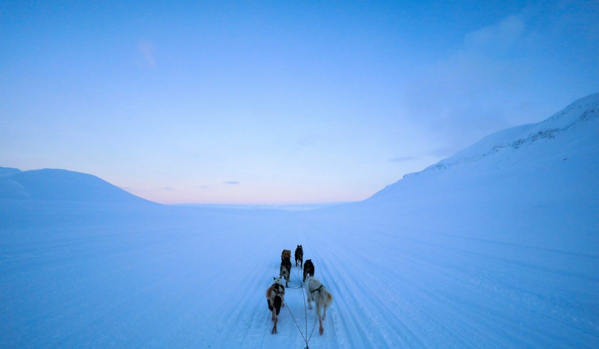 dylan shaw mecnlq6uupw unsplash