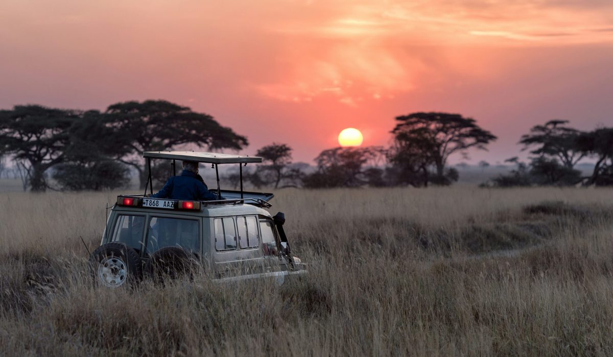 hu chen 0lwfbrtq ac unsplash