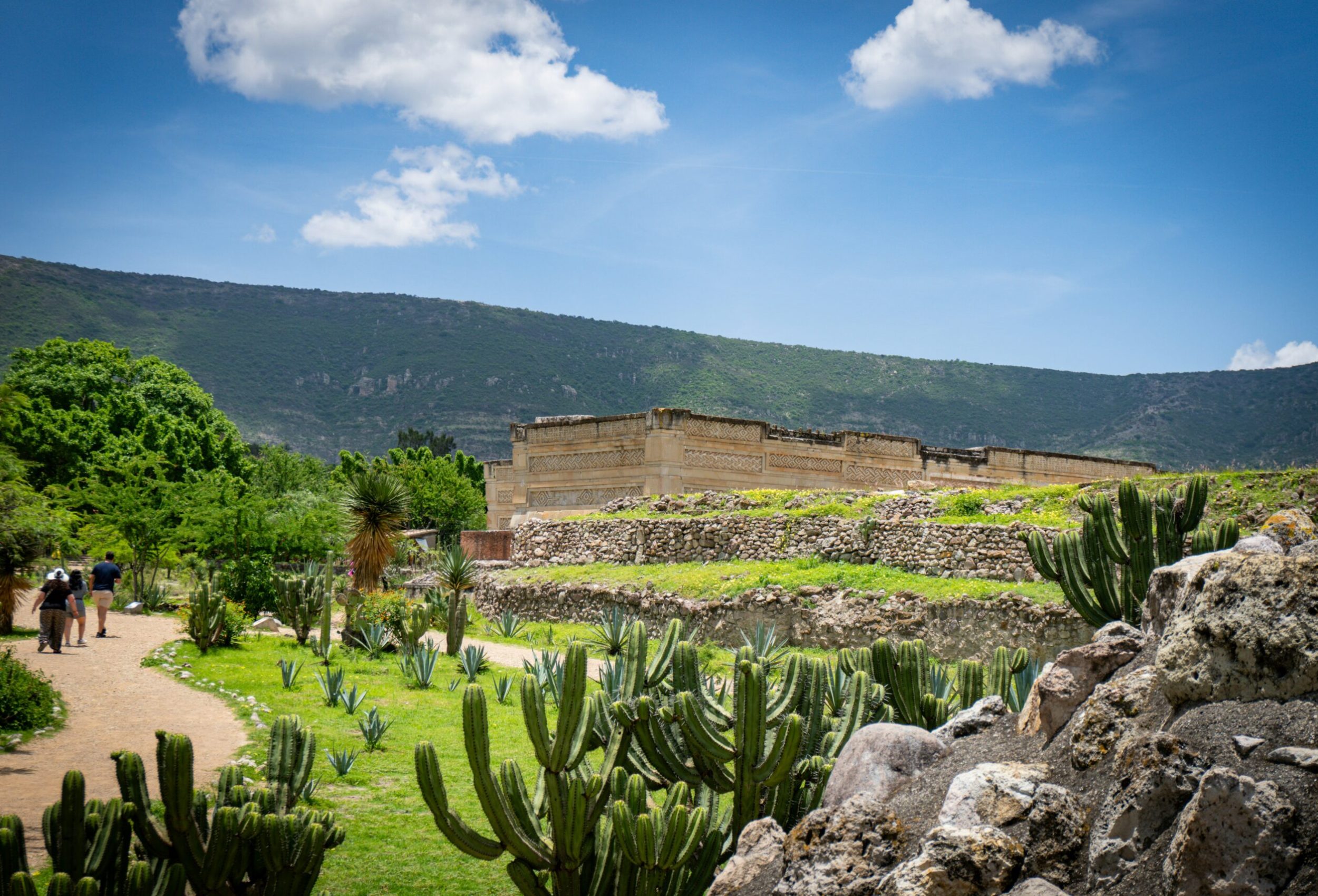 jose castillo dyrww1pk7zo unsplash