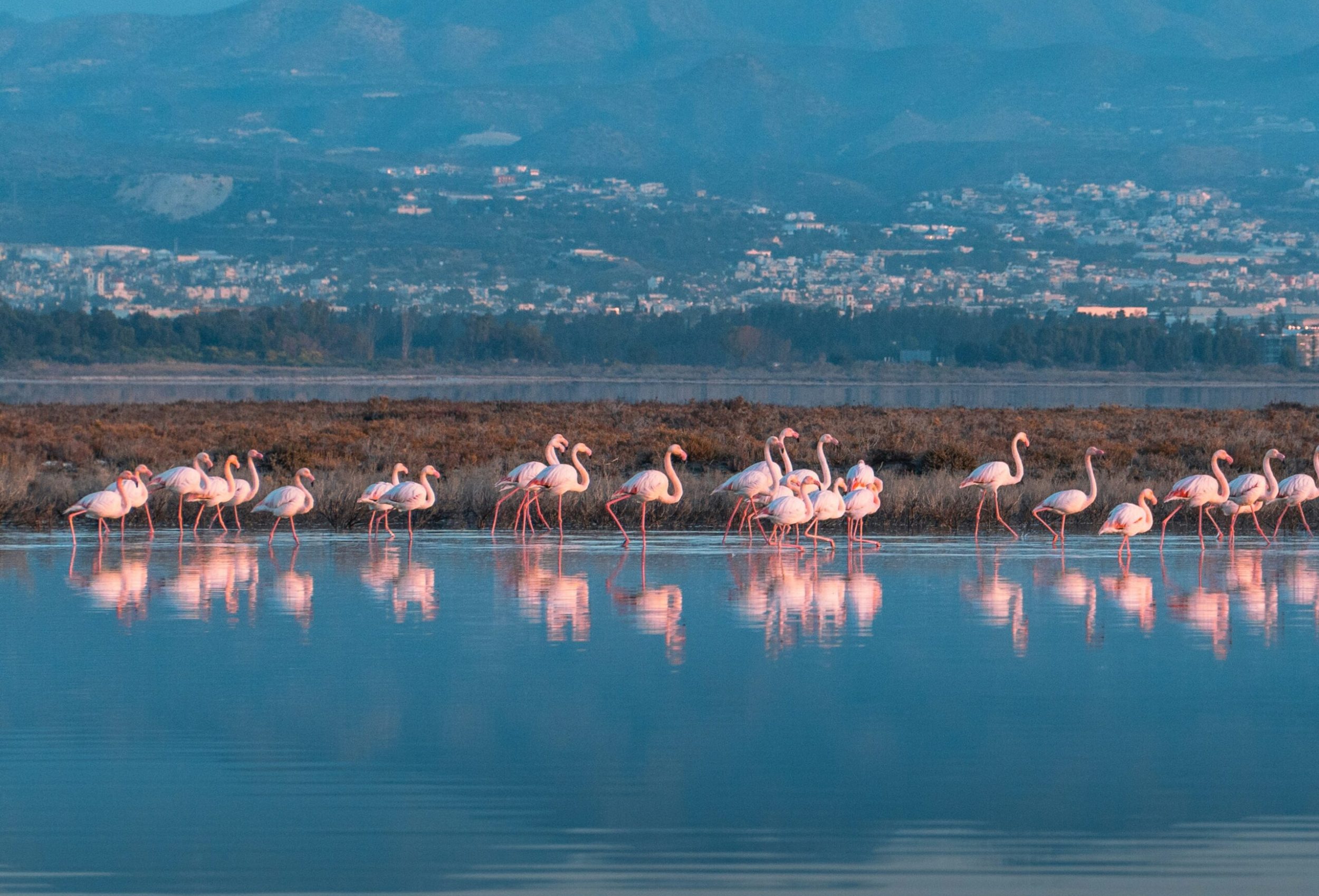 maciej marko iwo vomz9lq unsplash