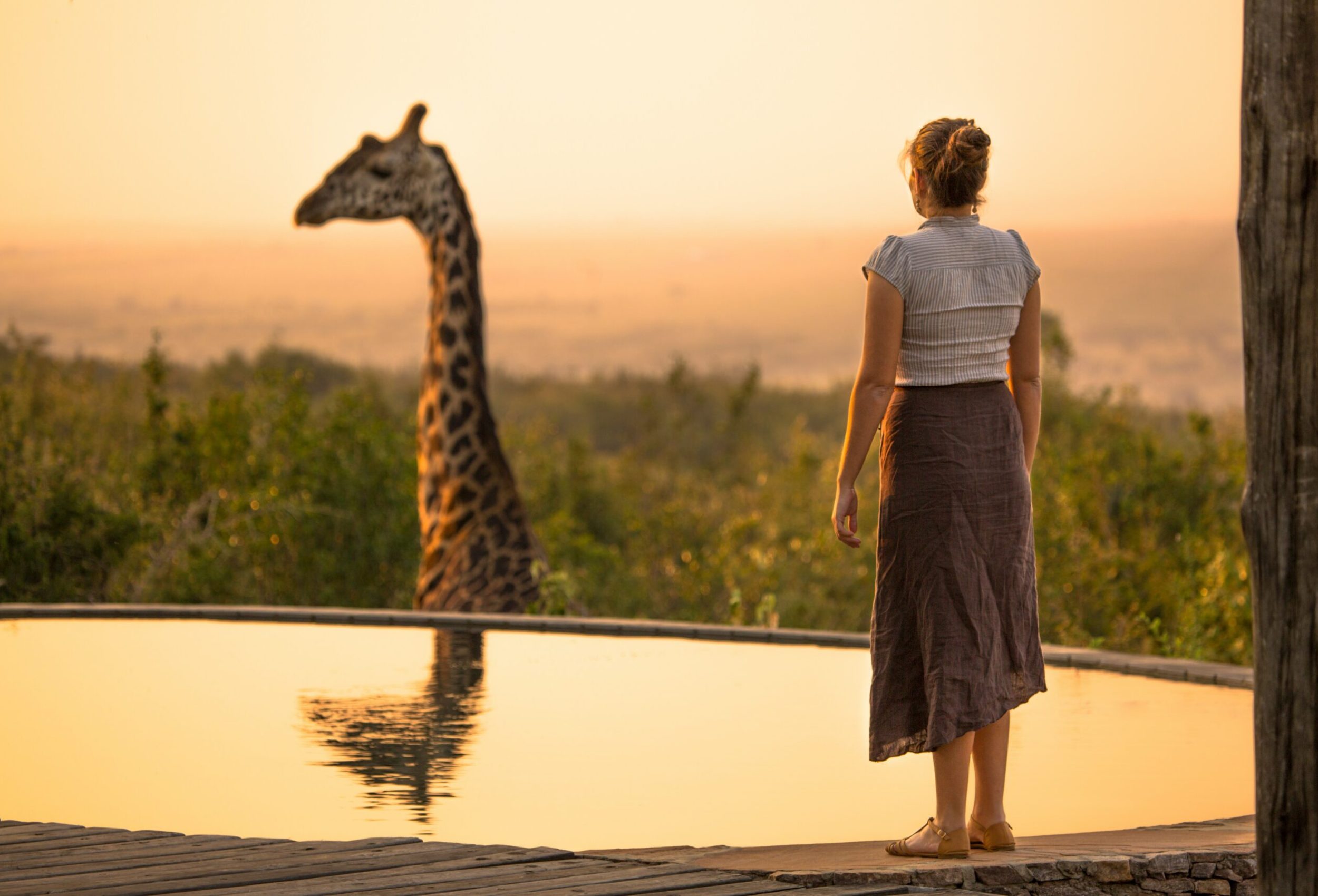 robin stuart b asz7tho6g unsplash