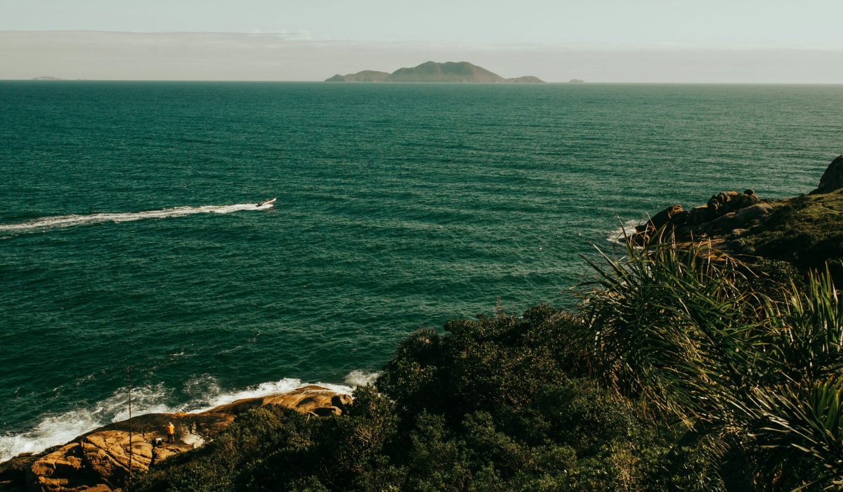 roger nobles ztiwydykvpa unsplash