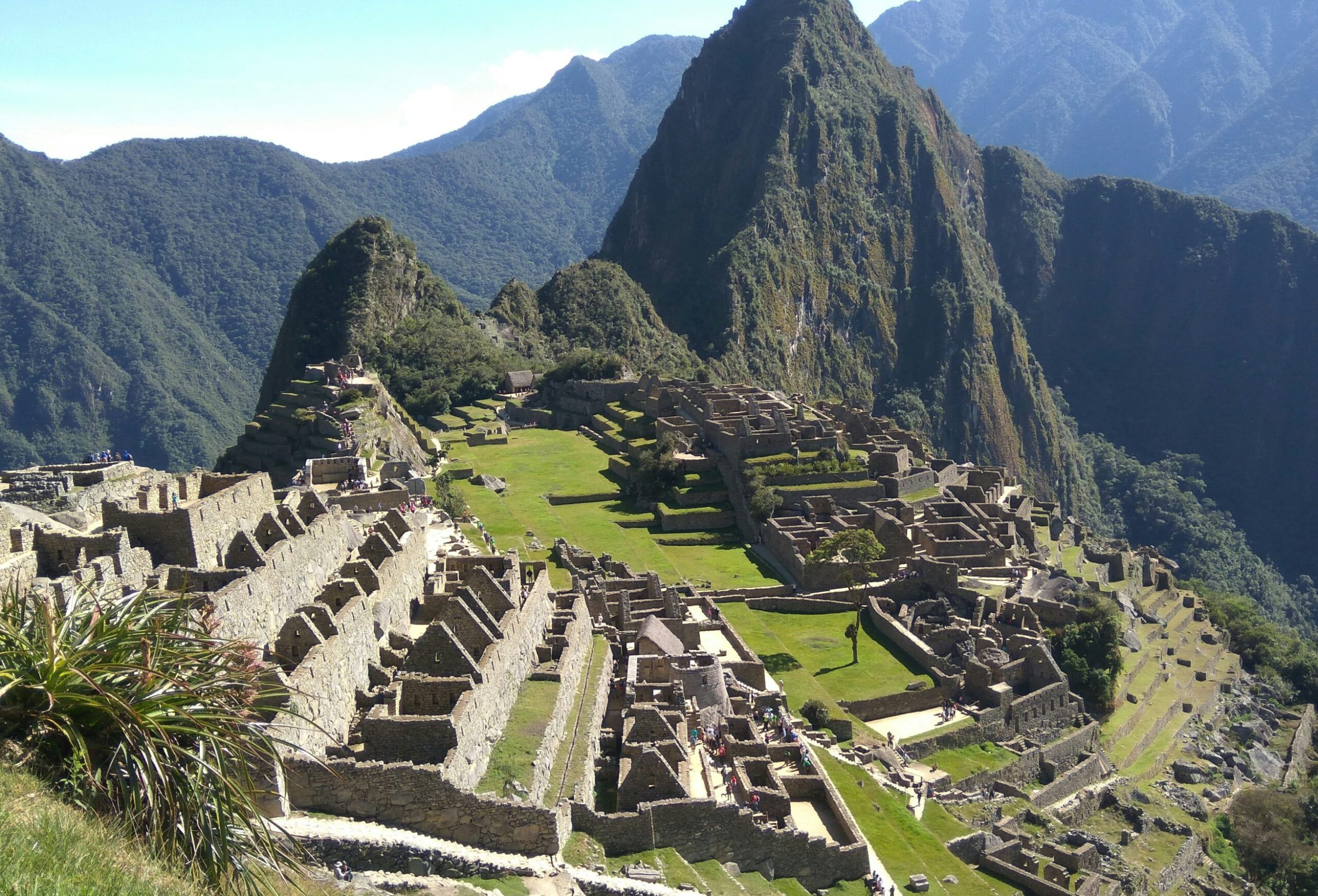 sasha india tfs wrluf40 unsplash