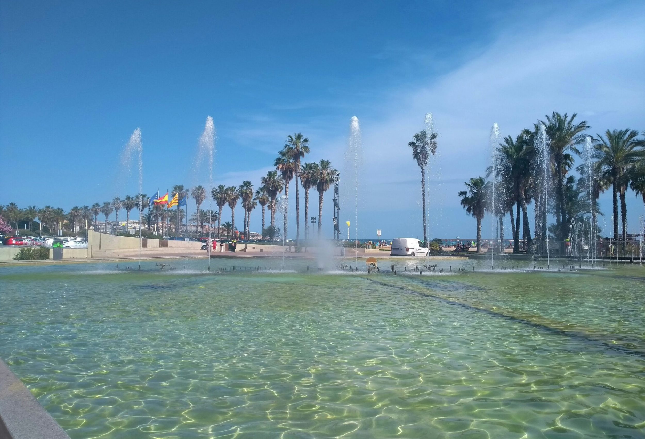 shell chapman miofpgezrc unsplash