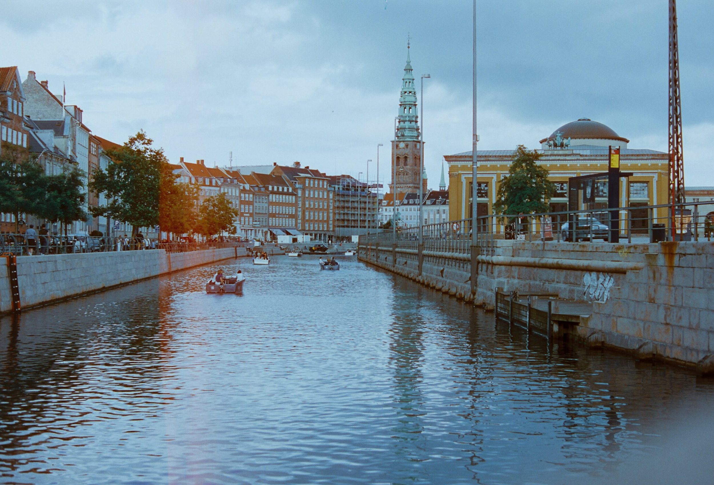 shepherd mw7s7xywalo unsplash