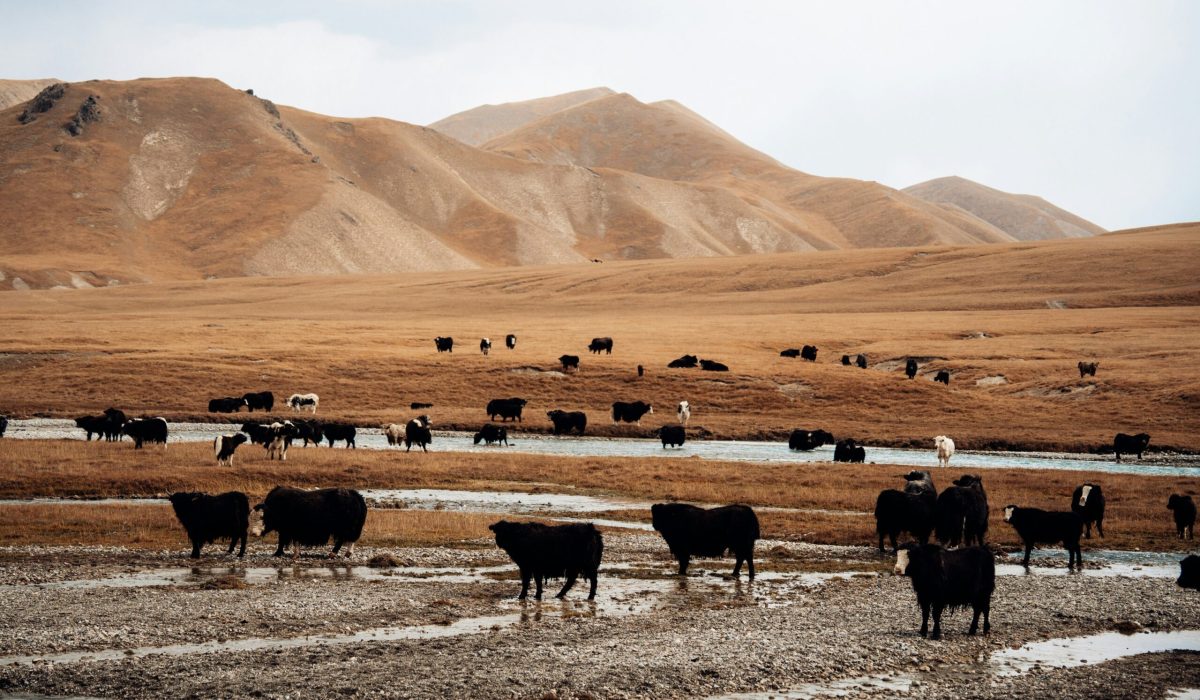 spenser sembrat 5diqhbpvs o unsplash