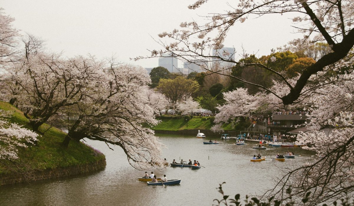 vanja milicic 1f36xtd7qhi unsplash