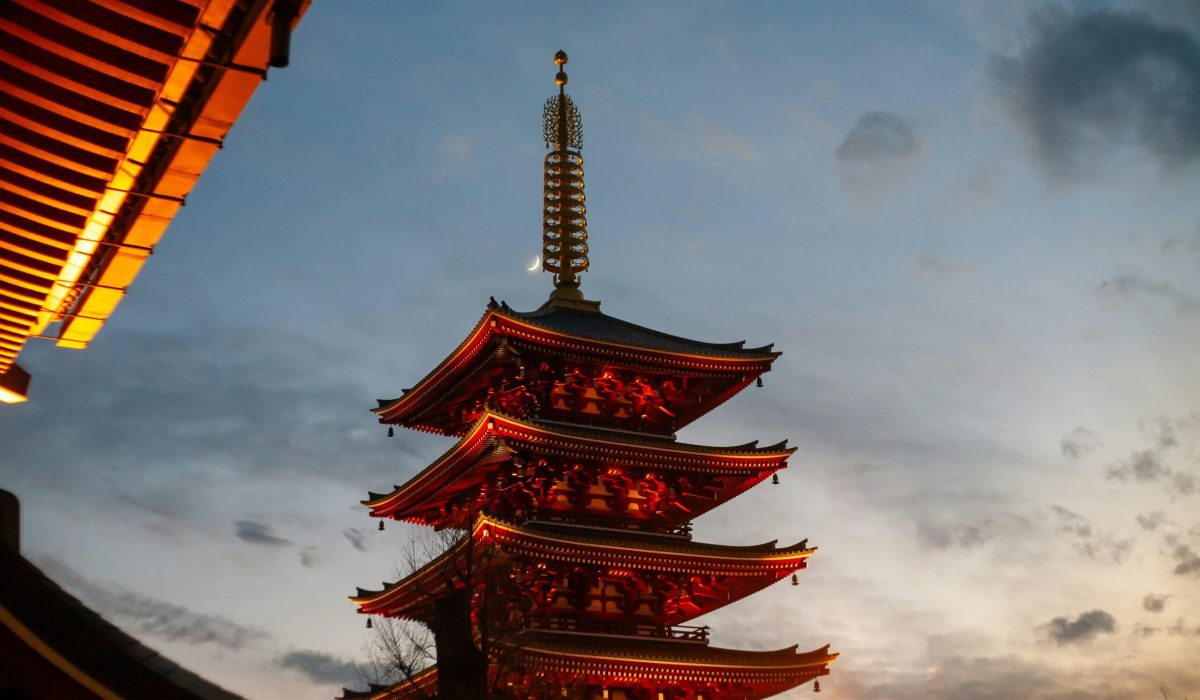 vanja milicic 5nstqtyauqi unsplash